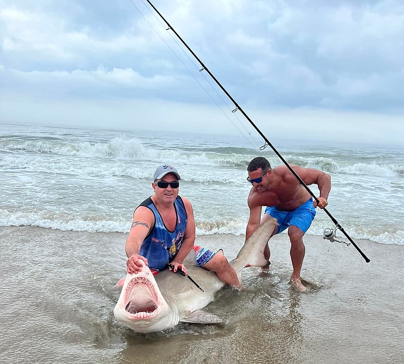 A photo circulating on Facebook shows fishermen with a shark caught in Sea Isle.