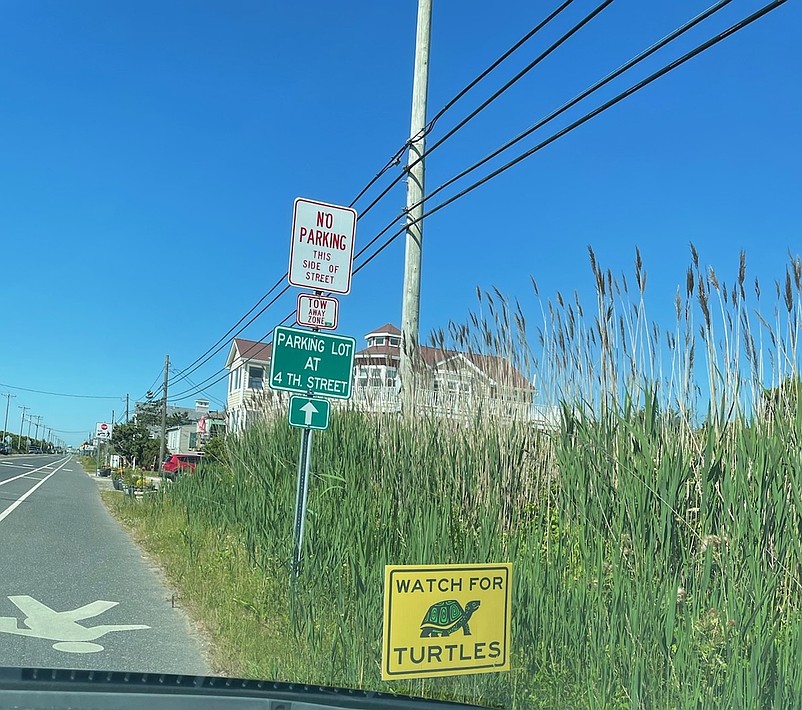 "Watch for Turtles" signs placed along the road in Strathmere helped to reduce the number of diamondbacks killed by traffic.