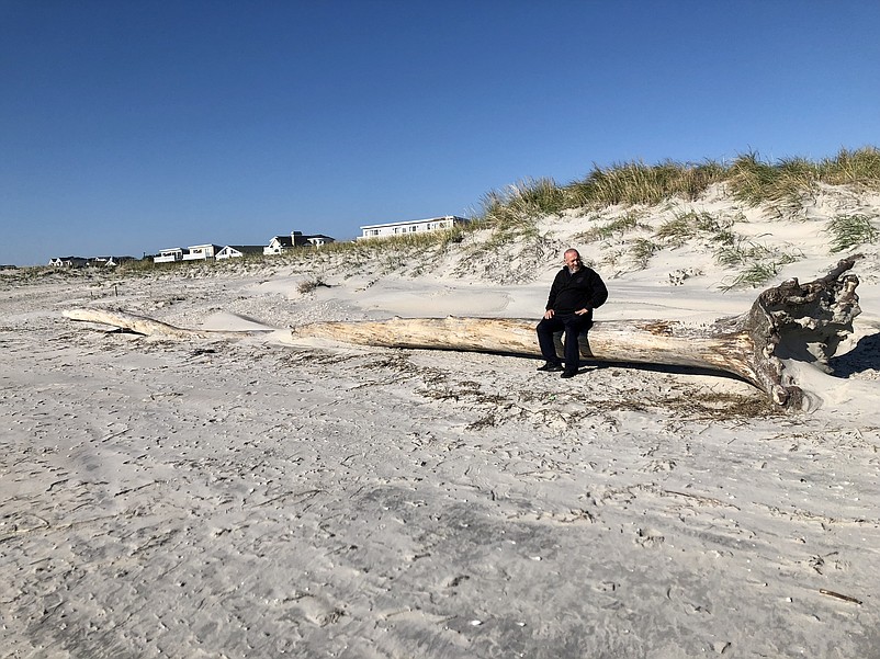 Mayor Leonard Desiderio sits on a tree that washed ashore near the 57th Street beach earlier in the year.