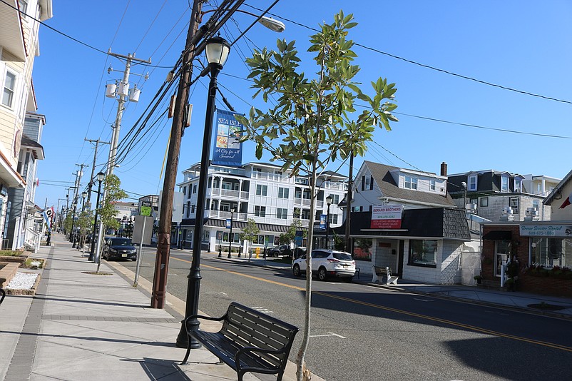 Decorative streetlamps and magnolia trees are part of the streetscaping improvements along the Landis Avenue corridor in the center of town.