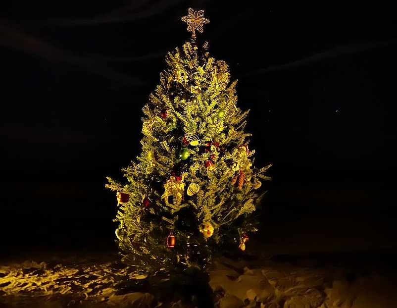 The tree is lighted to serve as "a beacon" at night.