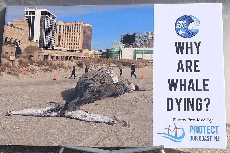 This whale that washed up in Atlantic City on Jan. 7 is one of six that have died recently.