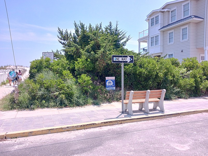 A thicket of trees and other greenery covers the front part of the dune property overlooking Pleasure Avenue at 77th Street.