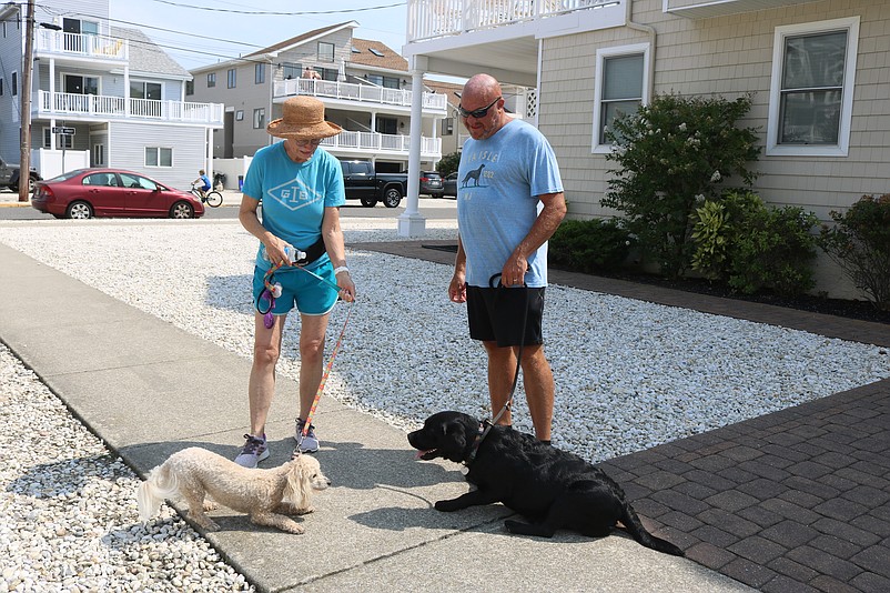 Karen Carola, with her dog, Sandy, meet Ed Ryan and his dog, Molly, during a walk on Pleasure Avenue.