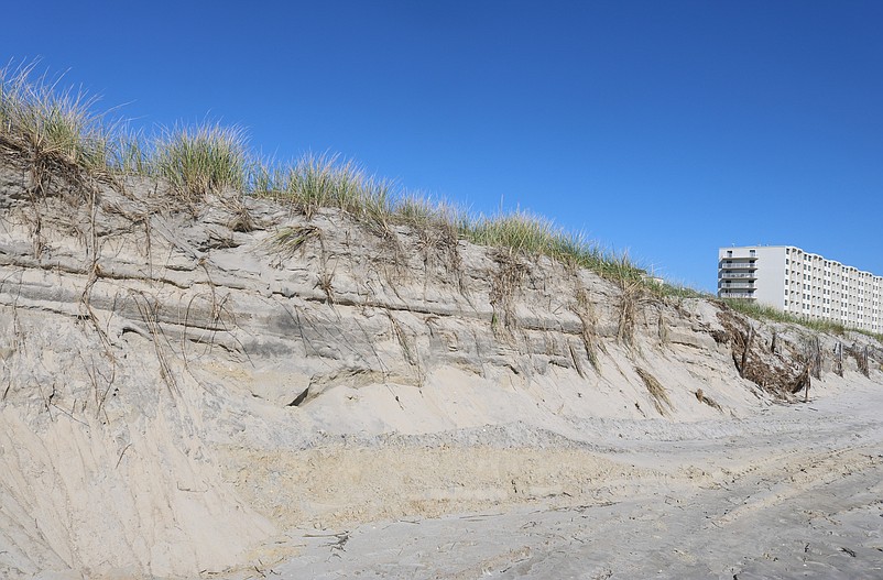 Sand cliffs like these in the central part of Sea Isle City are created when the dunes are sheared away by the stormy ocean.