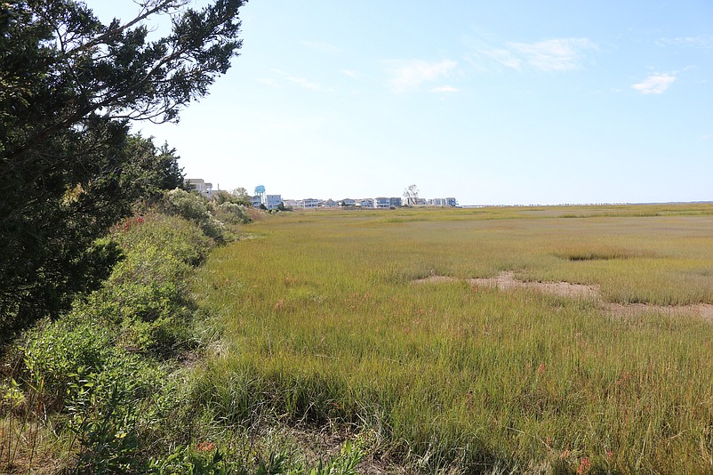 Wetlands at the bay end of 70th Street stretch for miles into the distance.