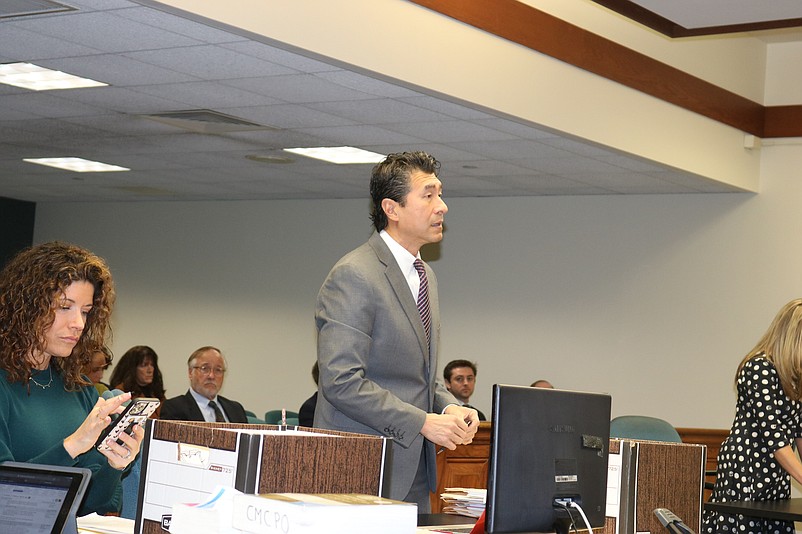 Cape May County Assistant Prosecutor Edward Shim tells the judge that Iannone will continue with anger management and alcohol counseling as part of the plea agreement.