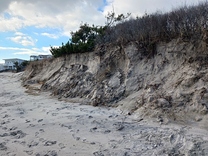 The dunes are badly eroded along a stretch of beach near 88th Street.