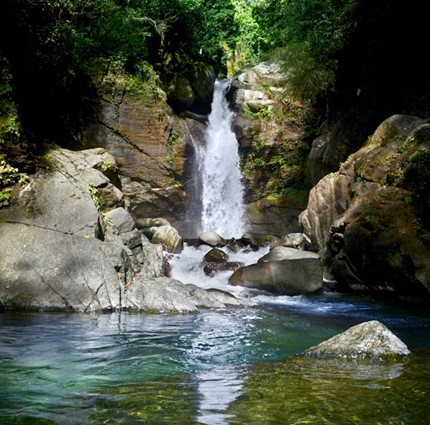 Steven Bliss Highlights the Best Beaches in the Dominican Republic