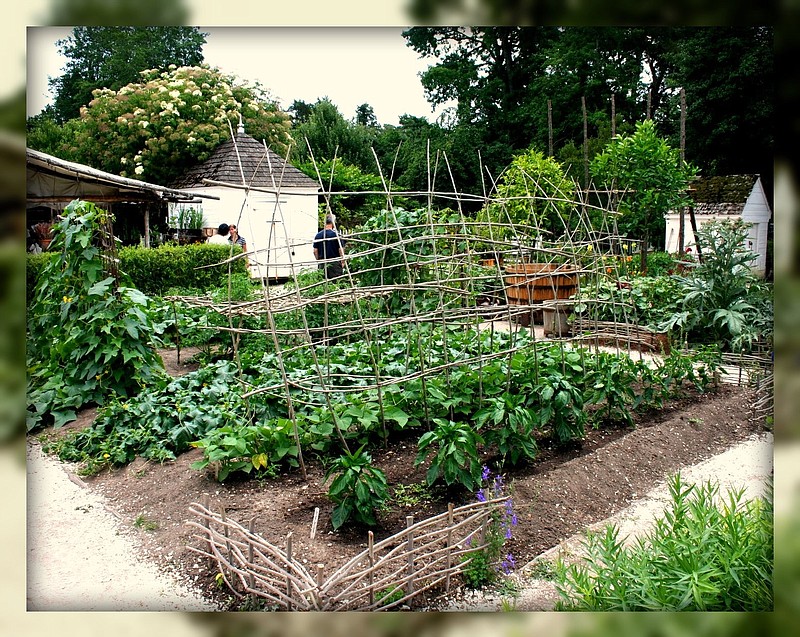 The Garden Club meets Nov. 14. (Photo courtesy Somers Point Green Thumb Garden Club) 