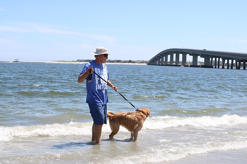 Jim Lynch, of Egg Harbor Township, takes his golden retriever, Peyton, for a dip.