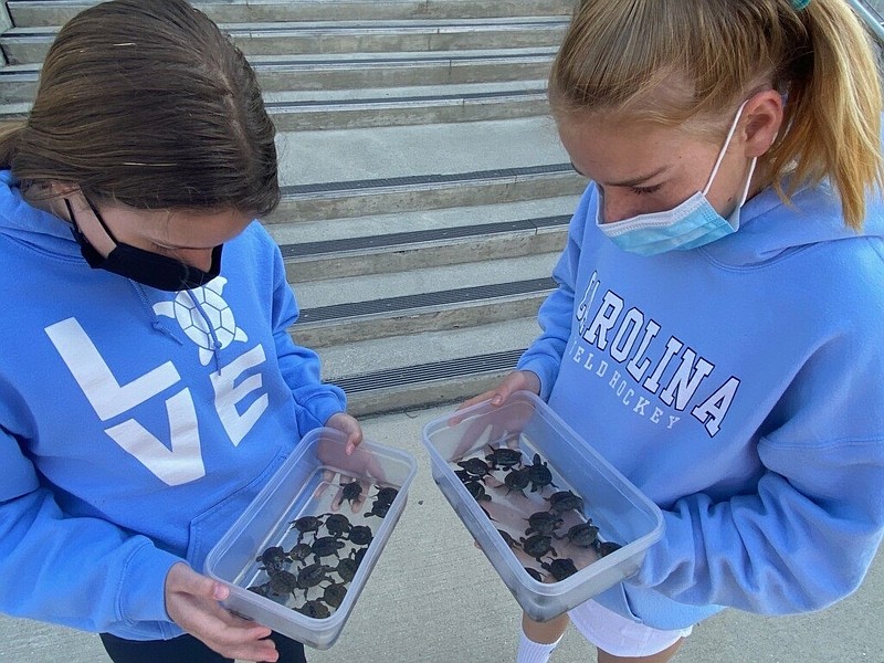 Paisley Murray, 1,, and friend Sunny Draper, Ventnor turtle rescue volunteers display the tiny terrapins they found. (Photo courtesy of Evelyn Kidd)