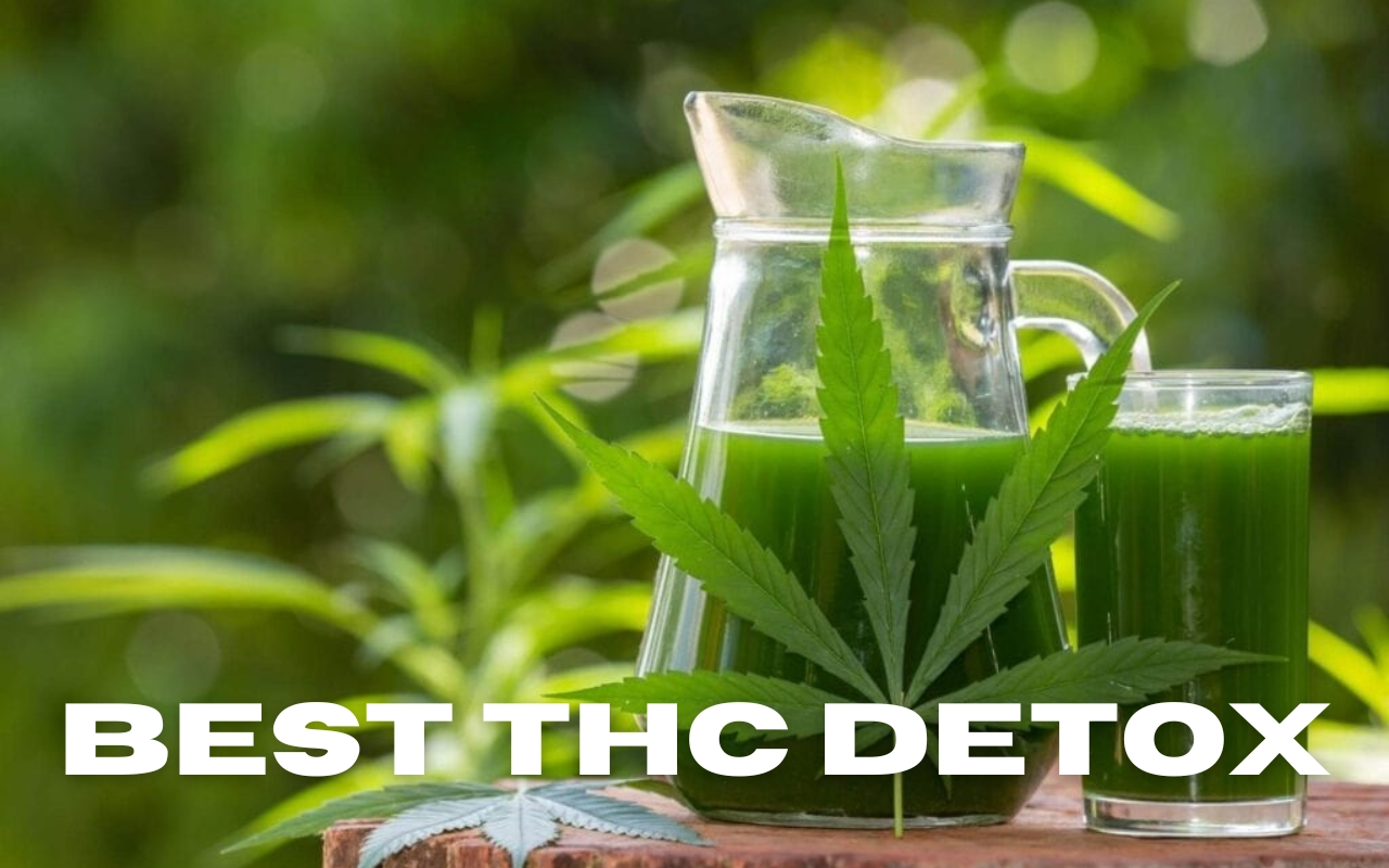 Best Weed Detox Drinks Kits To Pass A Drug Test In 2025 Ocnj Daily Best Weed Detox Drinks Kits To Pass A Drug Test In 2025 Ocnj Daily