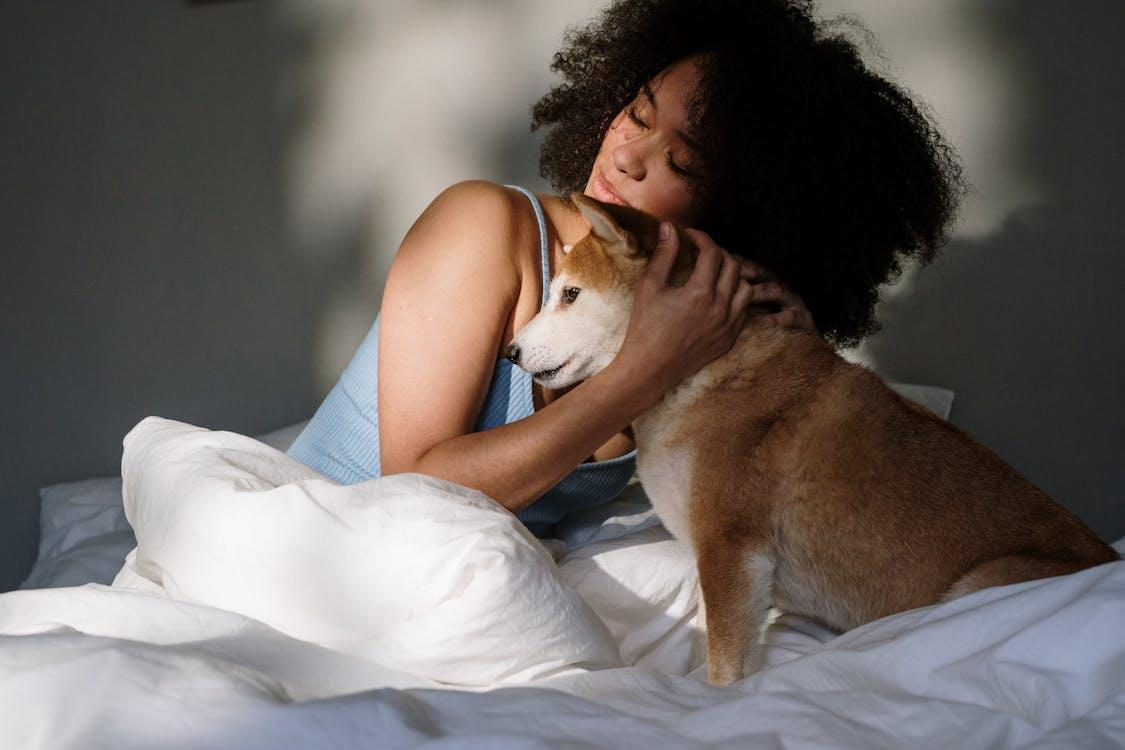 Free A woman with curly hair cuddling her Shiba Inu dog on a bed, basking in soft morning light. Stock Photo