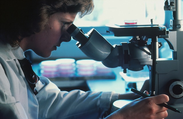 gastroenterology 