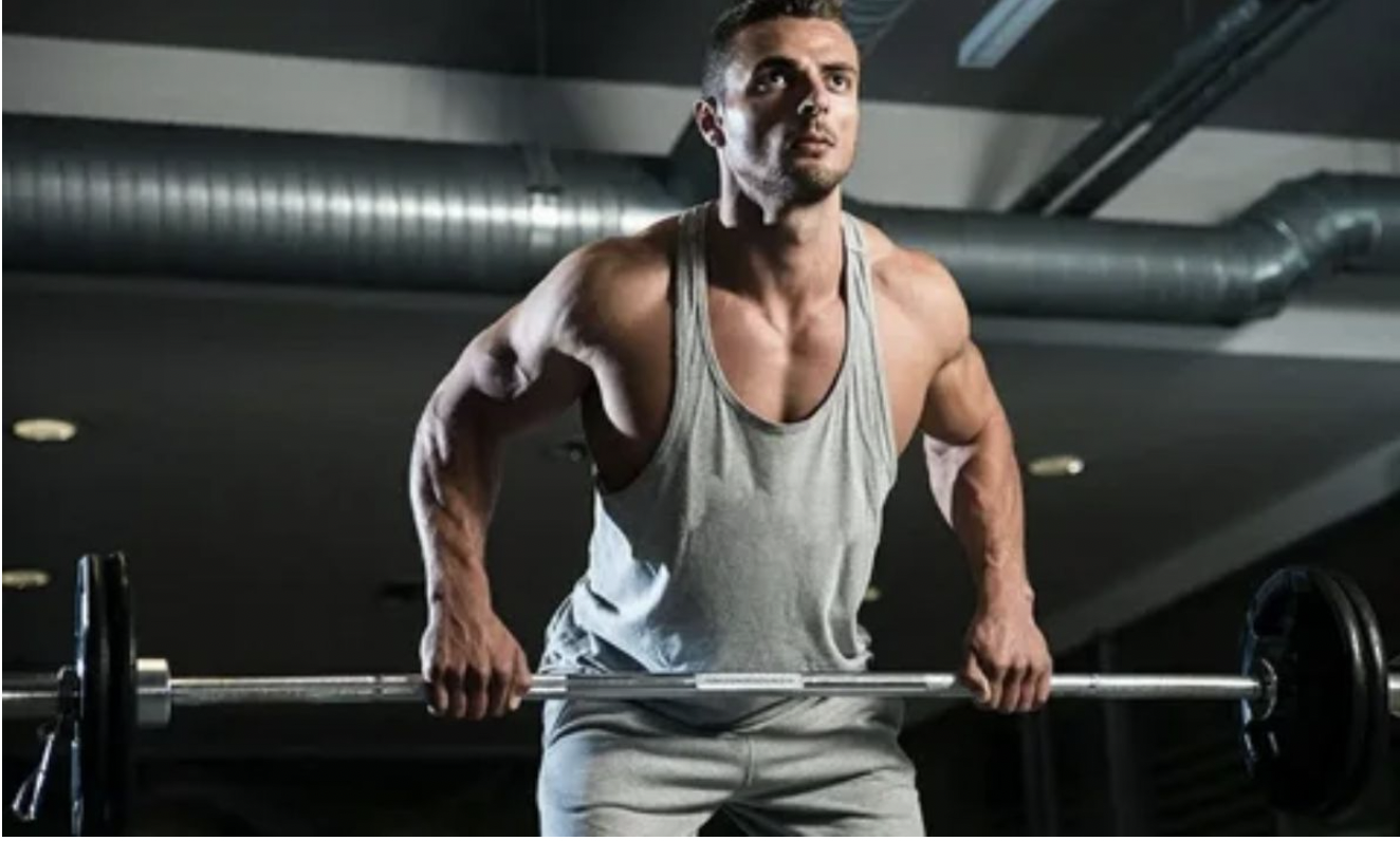 How to Choose the Right Gym Equipment Warehouse for Your Fitness Needs