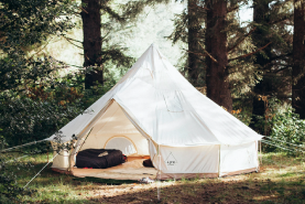Preserved interior features at Ballinderry Park bed and breakfast