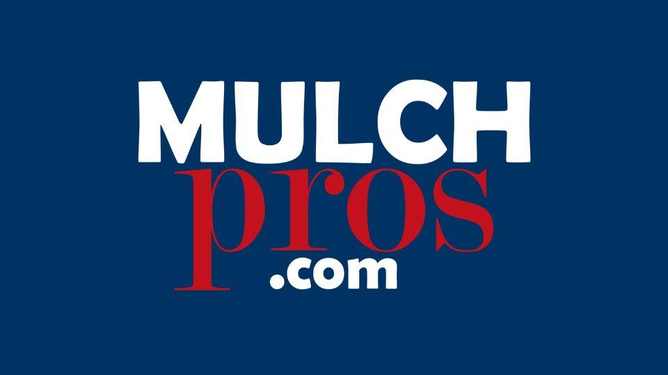 A blue and white logo

AI-generated content may be incorrect.