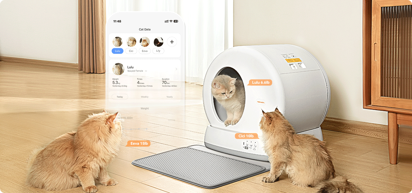 self cleaning cat litter box