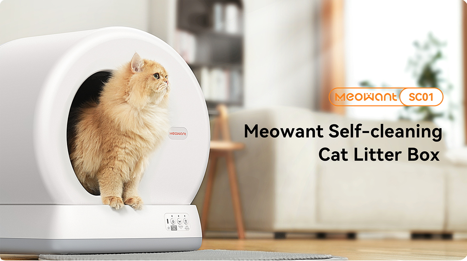 self cleaning cat litter box