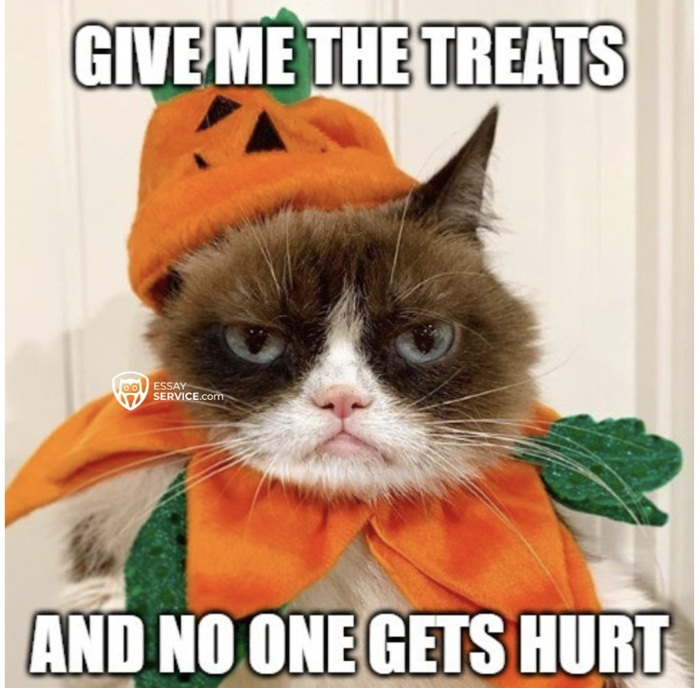 Funny Halloween Memes Every Student Will Love by EssayService - Breaking AC