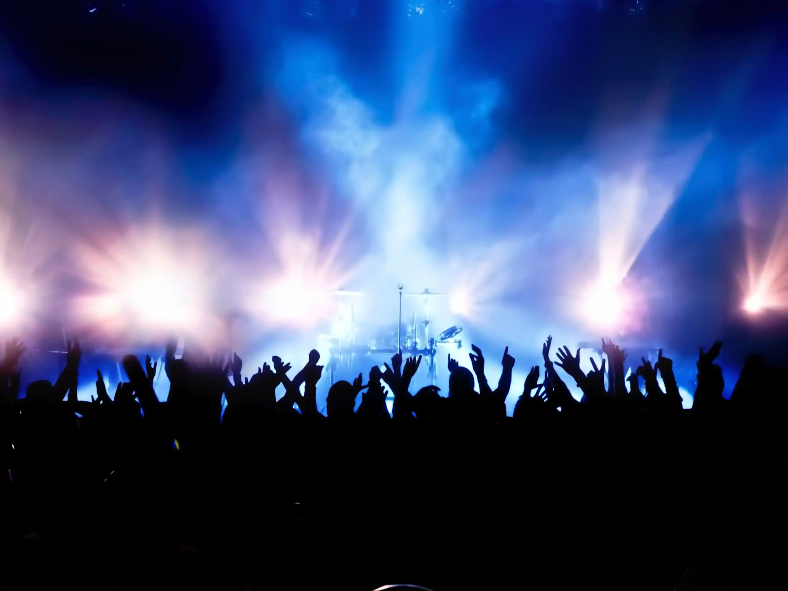 Concerts & Festivals in Miami