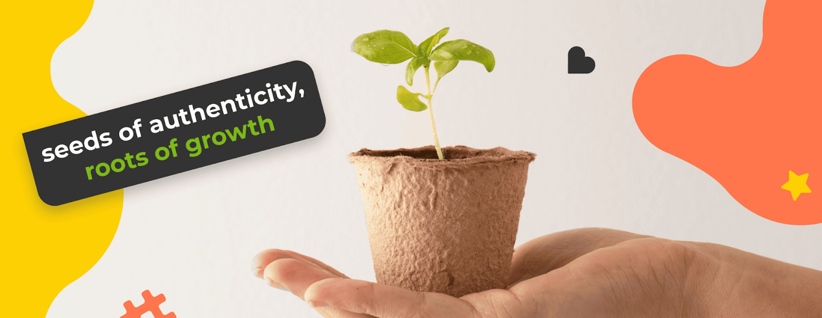 How to boost IG followers organically