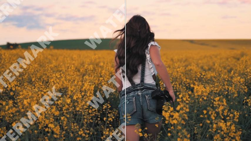 Visual Content Creation with VDraw AI Tools