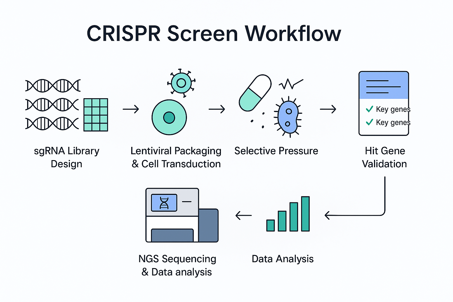 CRISPR Screens workflow