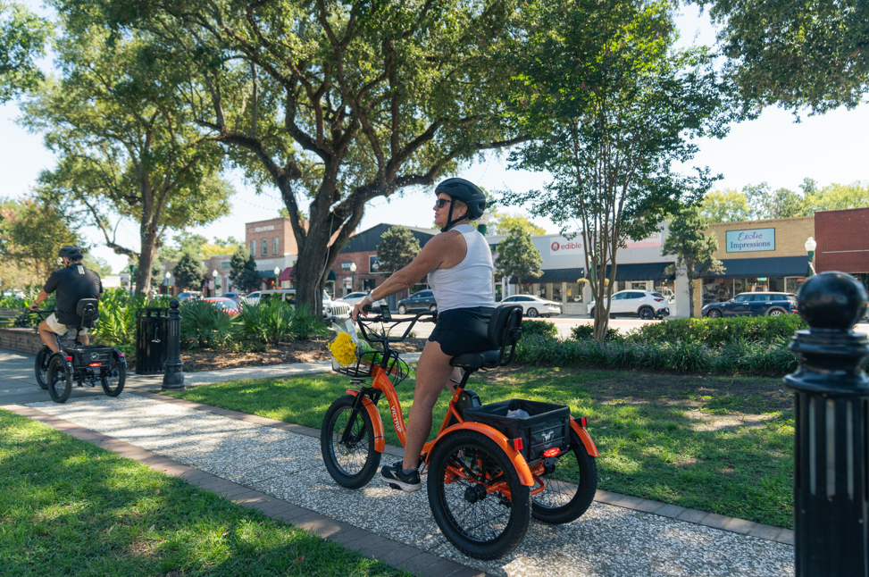  Ebikes and Tricycles 1