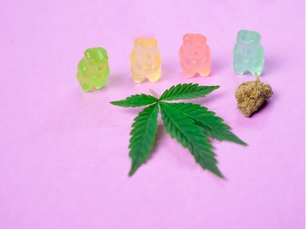 Title: C:\Users\DELL\Downloads\pexels-kindelmedia-7667902 (1).jpg