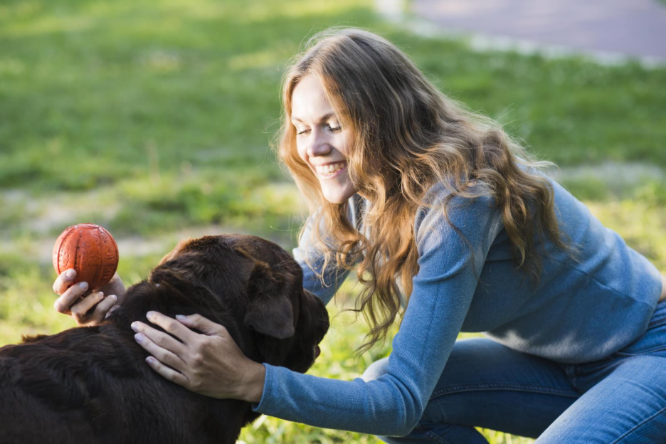 Guiding Pet Owners to Lifelong Wellness Decisions. 