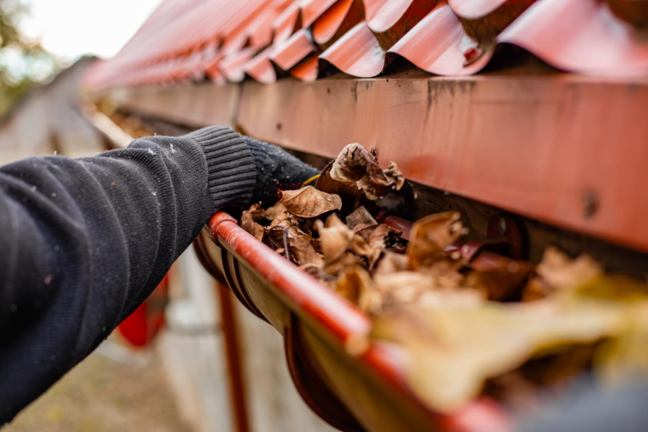 Gutters, Downspouts, and the Real Cost of Neglect 