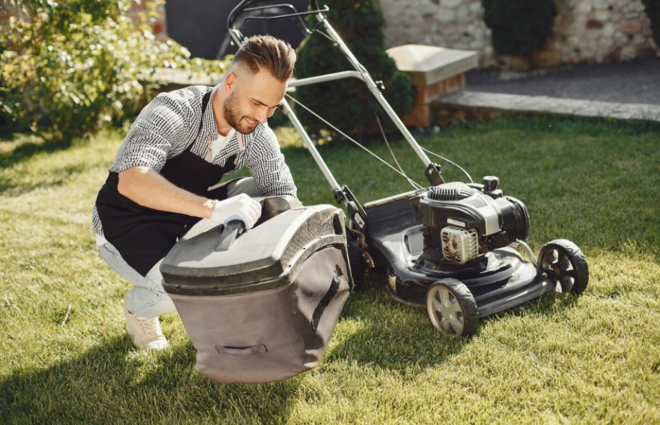 1. Expert Guidance and Custom Plans That Improve Lawn Health