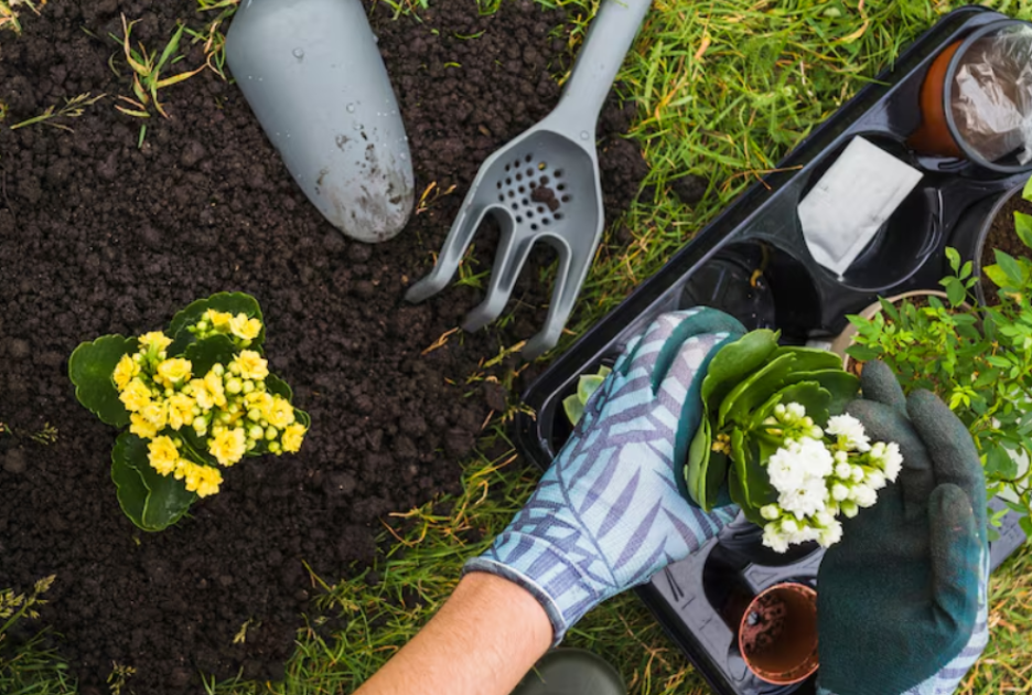 3. Balanced Treatment Programs That Build Stronger Growth