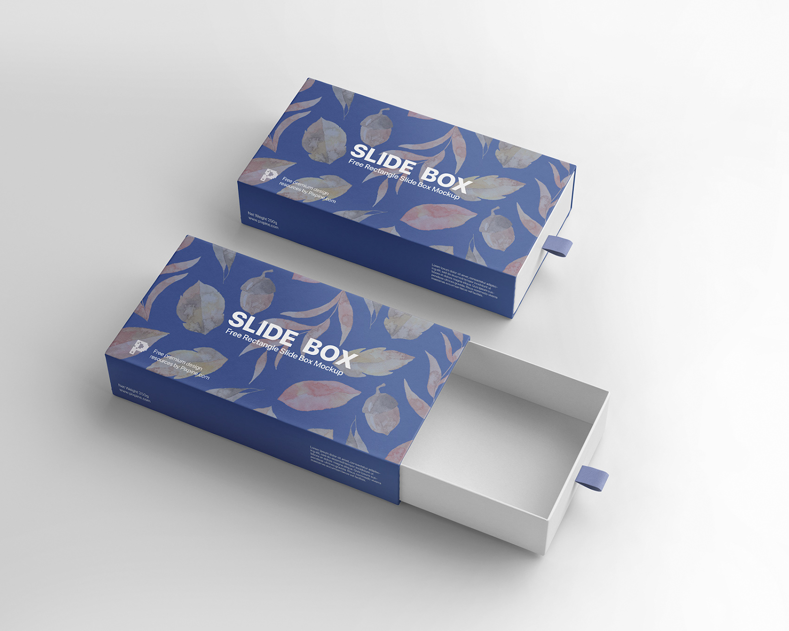 A blue slide box with a lid open
AI-generated content may be incorrect.