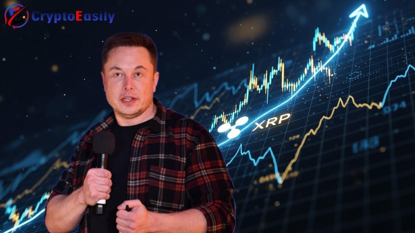 Elon Musk says: XRP will rise 200% in 2026, and how XRP holders can  generate passive income - On Pattison | THE Philly Sports Website