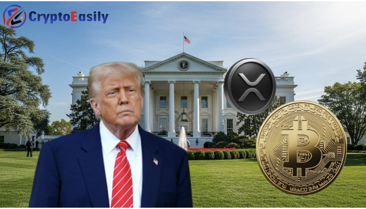 Trump claims XRP is poised to become the hottest trade in 2026; how XRP  holders can create stable passive income. - On Pattison | THE Philly Sports  Website