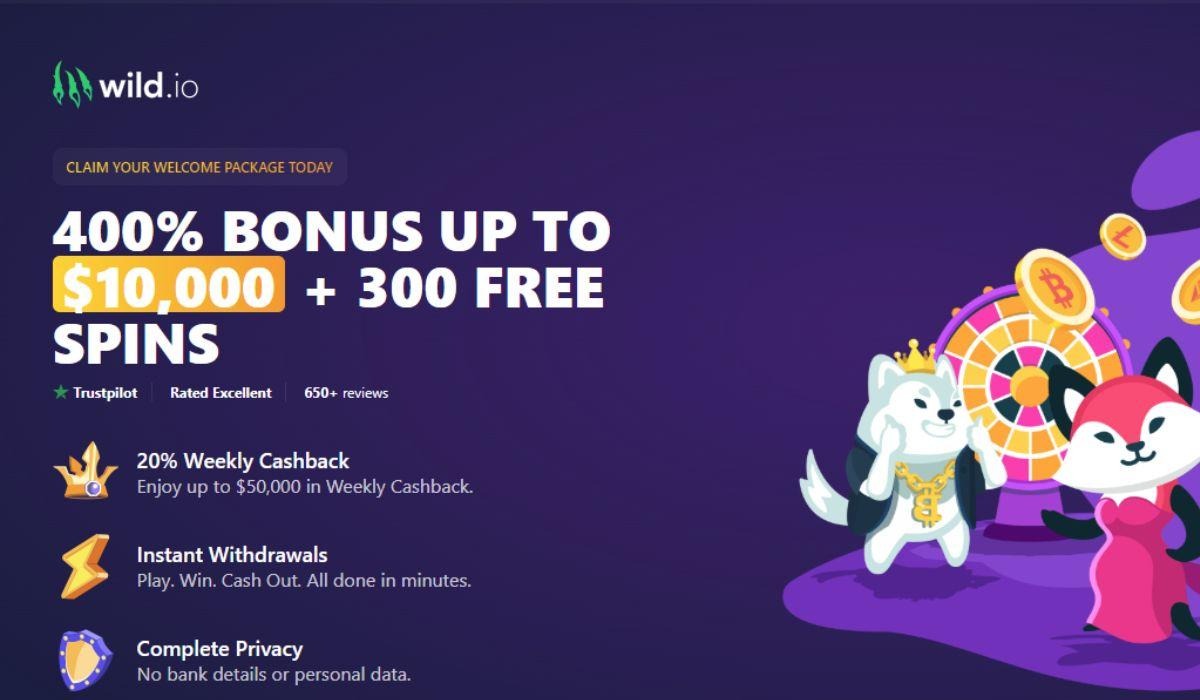 Wild.io's Transparent Bonuses and Provably Fair Games Build Trust in Crypto Casinos