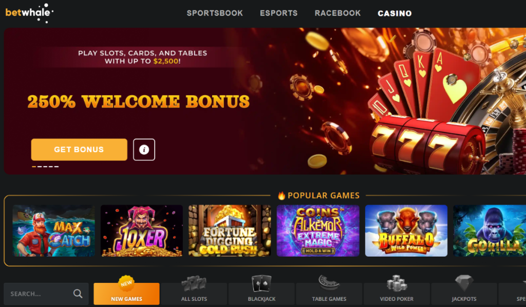 Best Real Money Casinos: Red Dog Casino