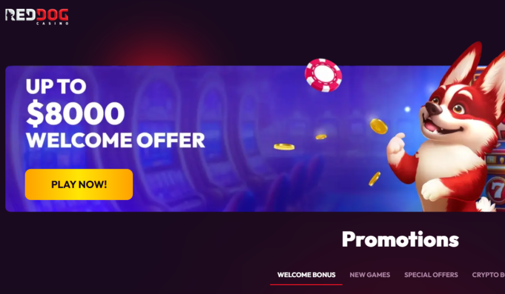 The leading real money online casinos in the USA include BetWhale, Lucky Rebel, Sloto Cash, Red Dog Casino, and Bets.io.