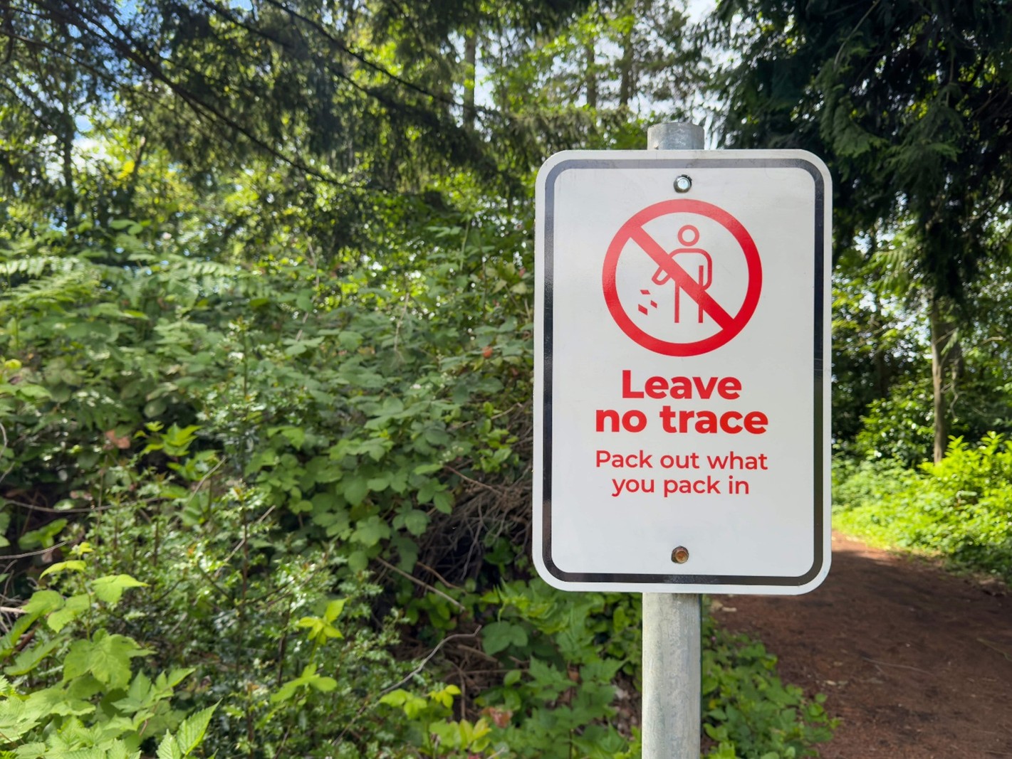 Angelo Dellomo Highlights Leave No Trace