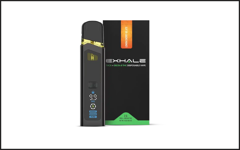 Best THCA Vapes in 2026: Top Brands for Potency, Purity & Smooth Hits - On  Pattison