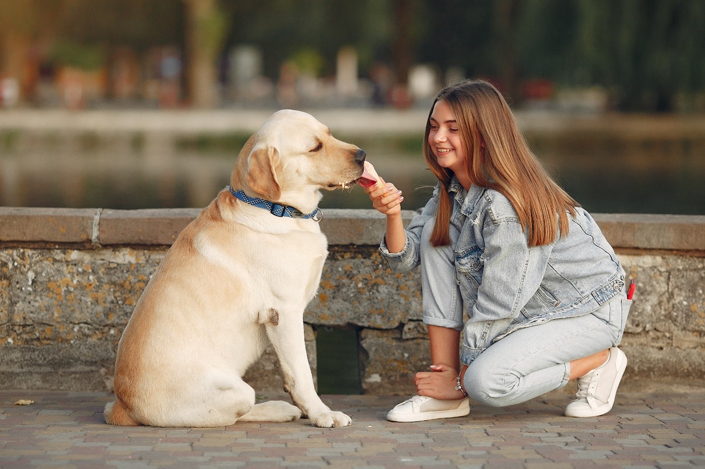 Dr. Cindy Maro on Why Gut Health Impacts Your Pet’s Whole Body