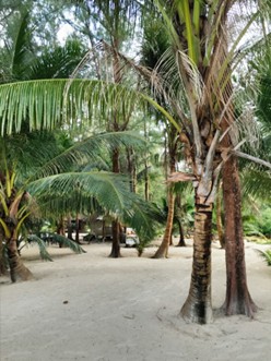 Exploring Costa Rica