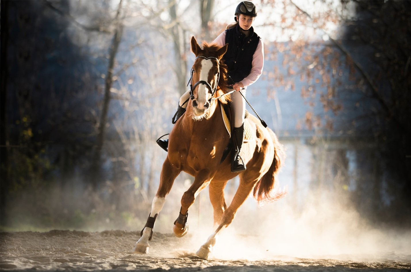 Freddie Vasquez equestrian reviews 