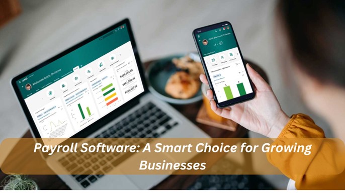 Payroll Software: A Smart Choice for Growing Businesses