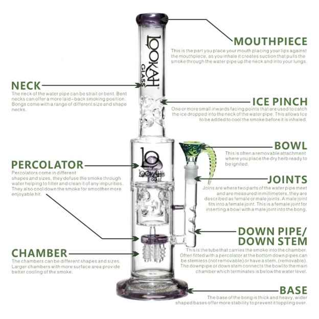 Percolator Bongs vs. Traditional Bongs: Which One is Right for You?