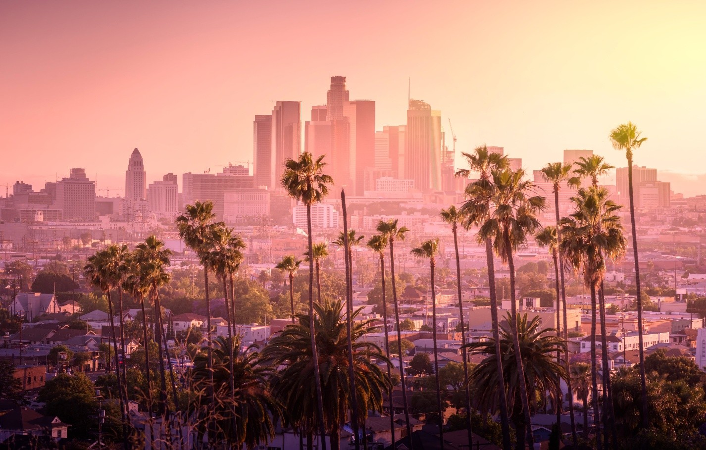 Ramin Messian of Los Angeles - From Side Hustle to Six-Figure Business