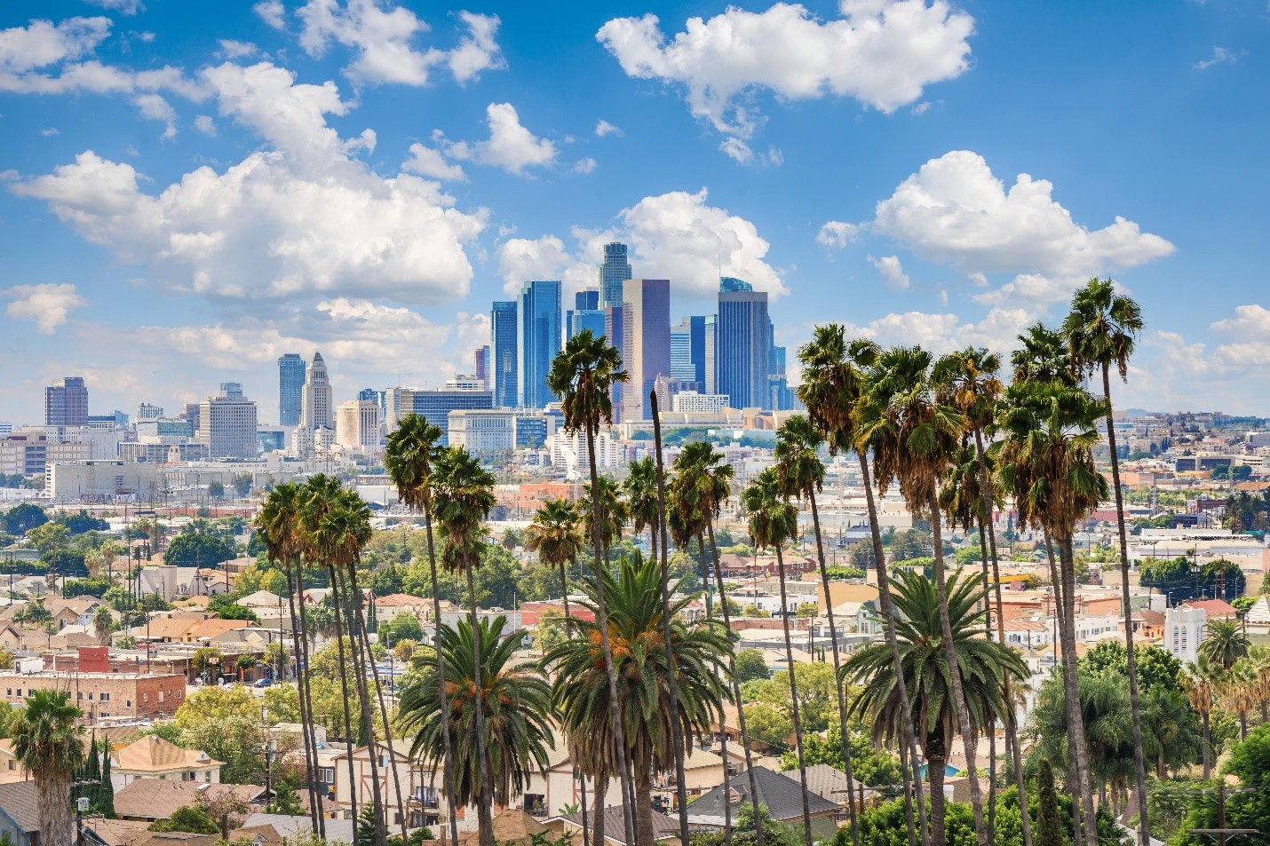 Ramin Messian of Los Angeles On From Poolside to Penthouse